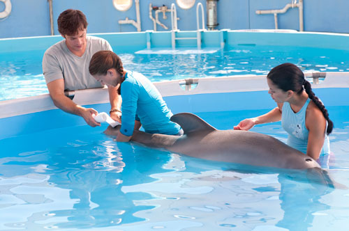 Dolphin in a pool with three people holding him