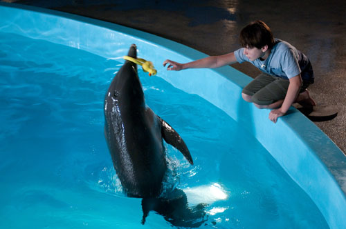Dolphin upright in a pool, a boy is leaning over the edge reaching out to take a toy from the dolphin’s mouth