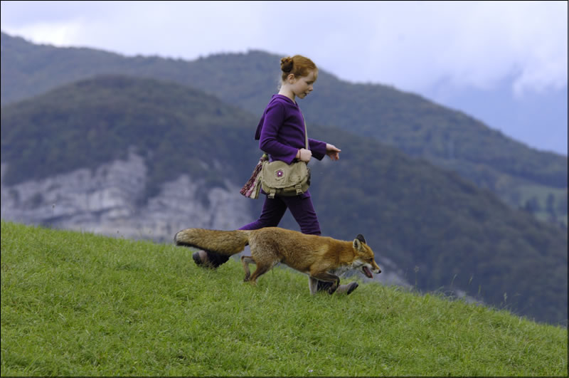 Still from the film, showing the fox and child walking along hillside