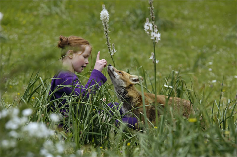 Still from the film, showing the child feeding the fox