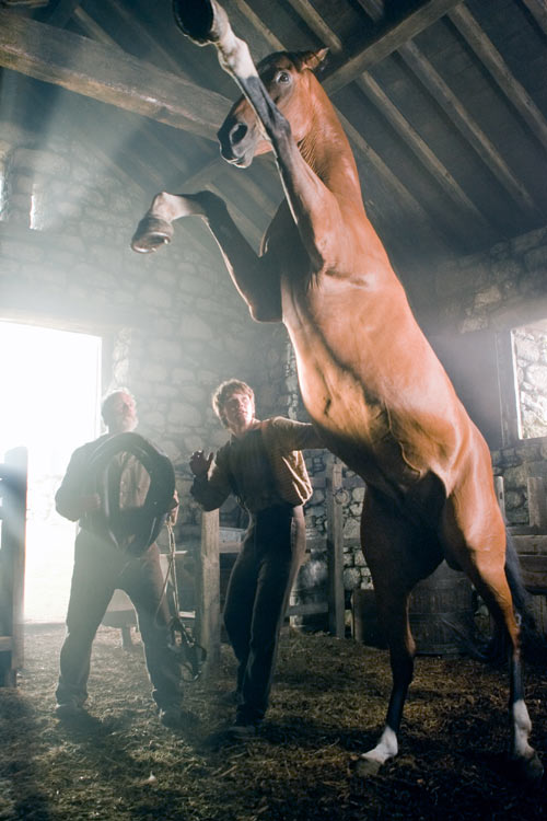 A horse is rearing up on its hind legs.  Dwarfed by the horse, stand two men.