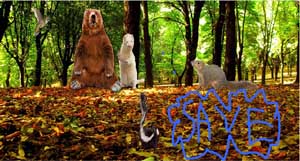 Poster design created using the Film Education Furry Vengeance poster activity